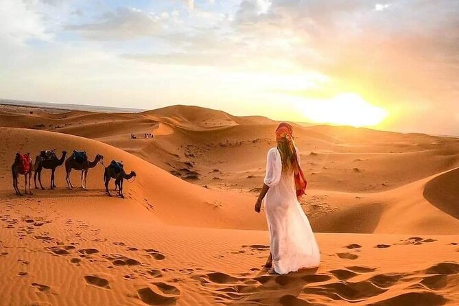 Marrakech Desert: Camel Ride, Quad Biking & Dinner Show Options - Dinner, Live Berber Music, and the Fire Show