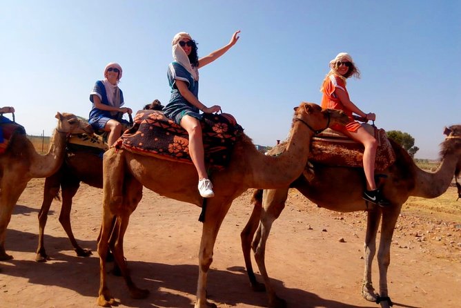 Marrakech Desert: Dinner Show with Quad Bike and Camel Ride - Quad bike across the dunes: fun, but manage expectations