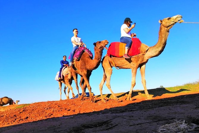 Marrakech Desert Dinner show with Quad bike at sunset - Key points to know before you go