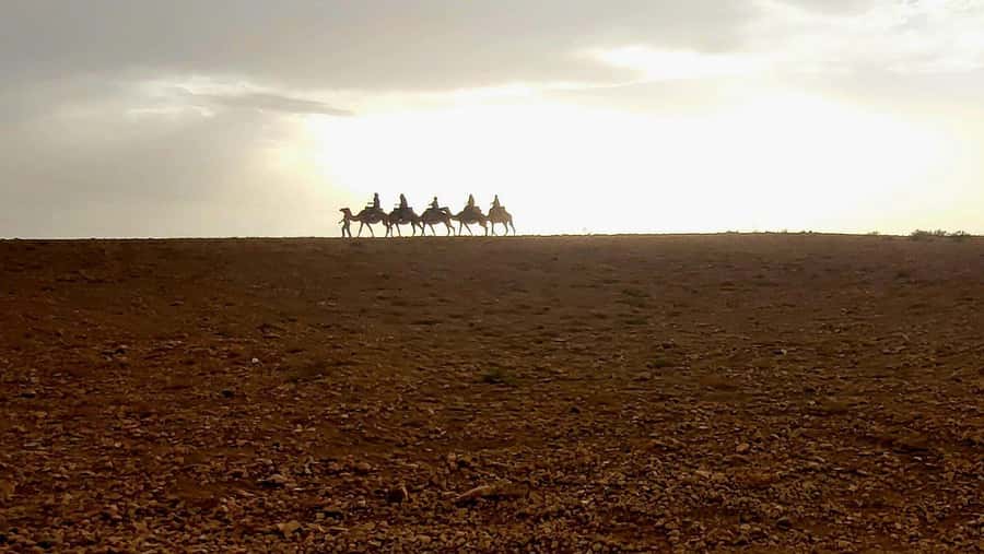 Marrakech: Desert Quad Bike Tour with Tea & Optional Dinner - Sunset riding and the small details that make it better