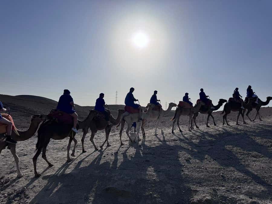 Marrakech: Desert Quad Bike Tour with Tea & Optional Dinner - Optional camel riding: when it can be worth it, and when it might not