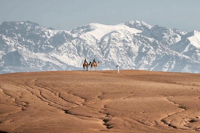 Marrakech Desert Tour & Sunset Camel Ride with Dinner Show - Agafay Desert timing: why this Marrakech evening feels special