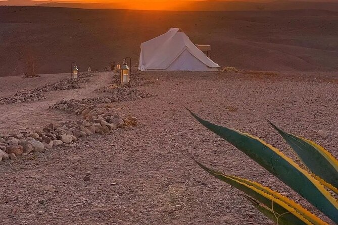 Marrakech Desert Tour & Sunset Camel Ride with Dinner Show - Camel ride at sunset: what to expect and how to prepare