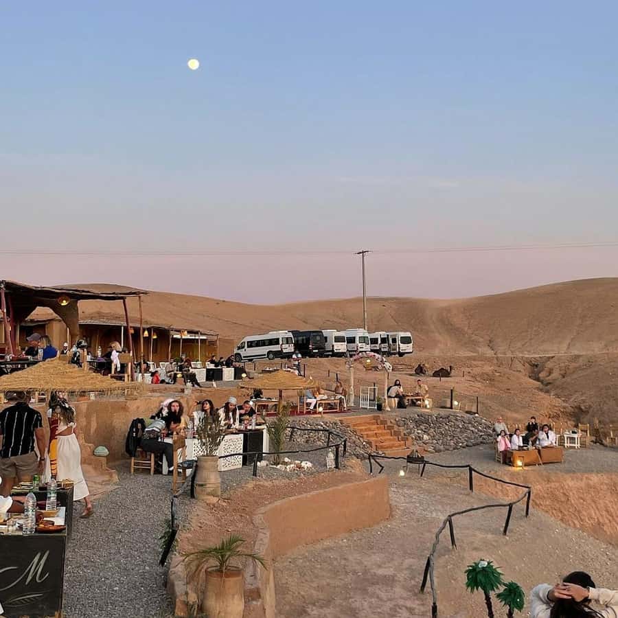Marrakech: Desert Tour with Dinner, Show and Camel Ride - Should you book this $18 Marrakesh Agafay Desert dinner, show, and camel ride?