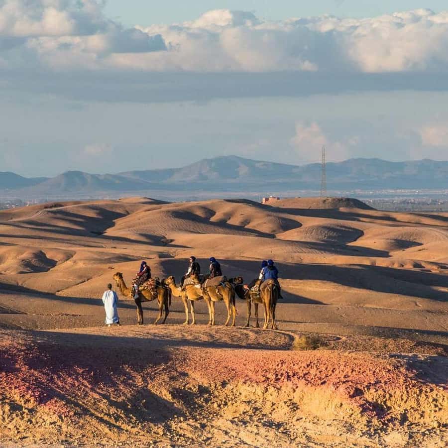Marrakech: Desert Tour with Dinner, Show and Camel Ride - Dinner at the desert camp: Moroccan food, tea, and sitting under the stars