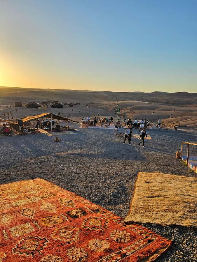 Marrakech: Dinner and Quad bike Desert Agafay Stars & show - Should You Book This Agafay Quad and Dinner Tour?