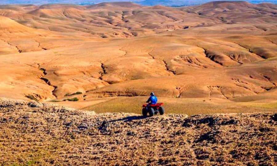 Marrakech: Dinner and Quad bike Desert Agafay Stars & show - Price and Logistics: Why Around $14 Feels Like a Win