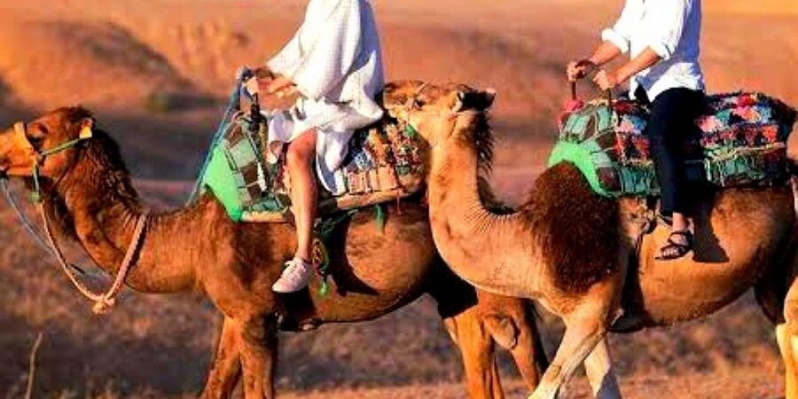 Marrakech: Dinner and Quad bike Desert Agafay Stars & show - Who This Tour Fits Best (and Who Should Rethink It)