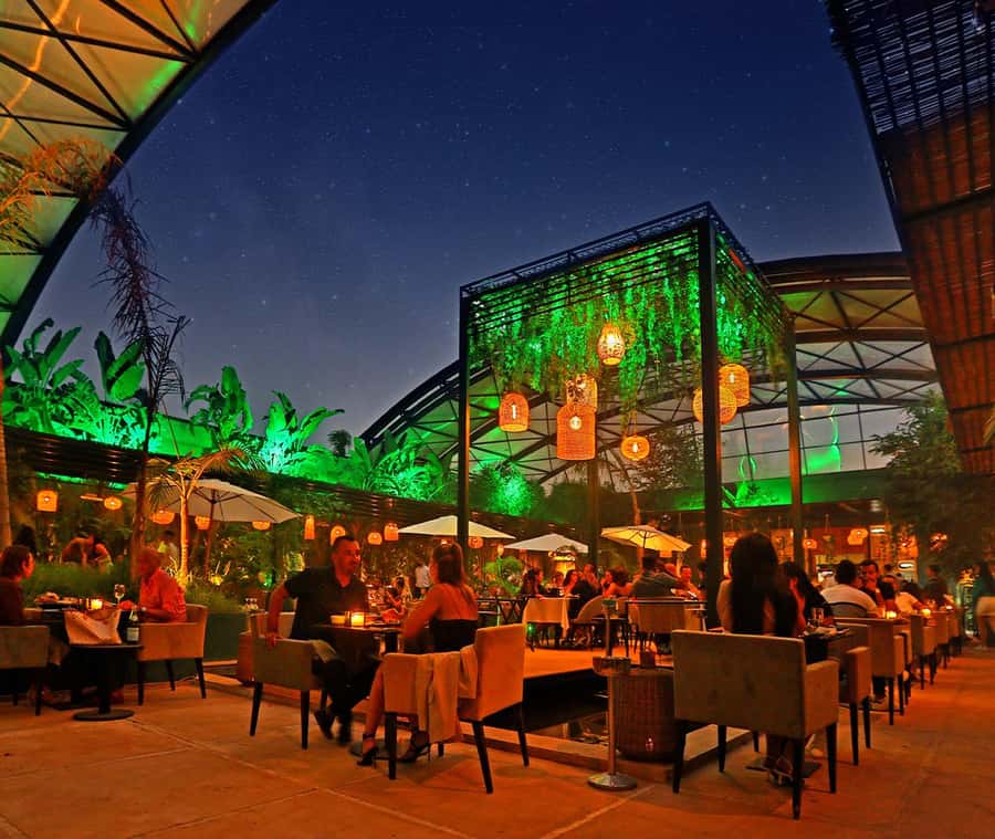 Marrakech : Dinner Show at Nouba Restaurant - Drinks and budget reality at Nouba: plan ahead, then relax