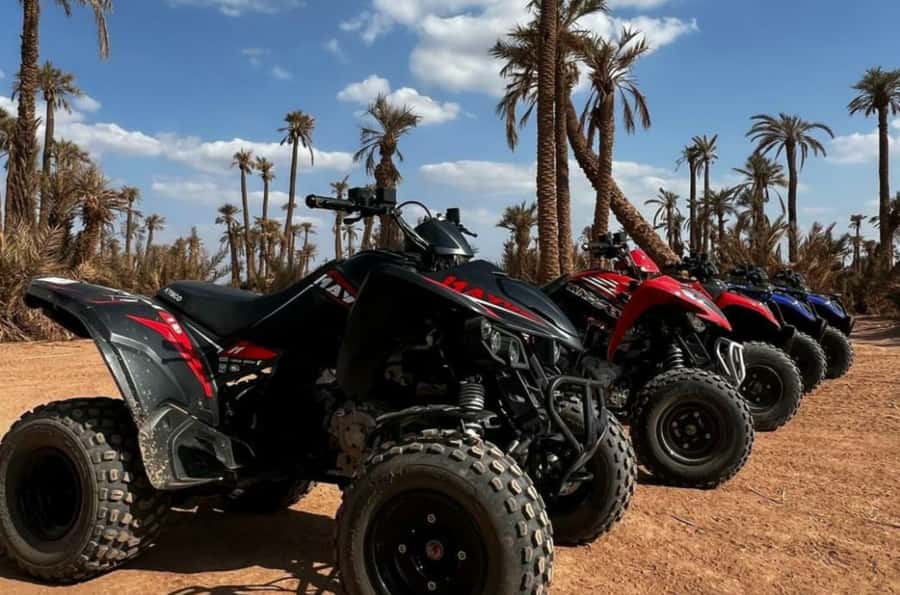 Marrakech: Dunes of the Palmeraie Quad Bike Ride with Tea - Palmeraie Palms, Photo Stops, and the Tea Break You Will Remember