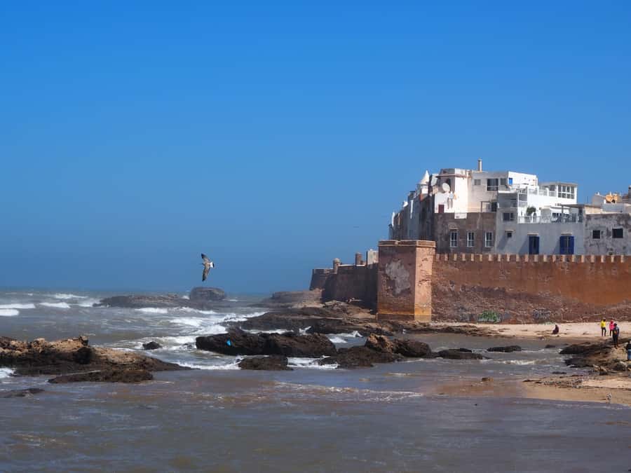 Marrakech: Essaouira Day Trip with Transfers and Co-op Visit - Marrakech to Essaouira: the best kind of day trip pacing