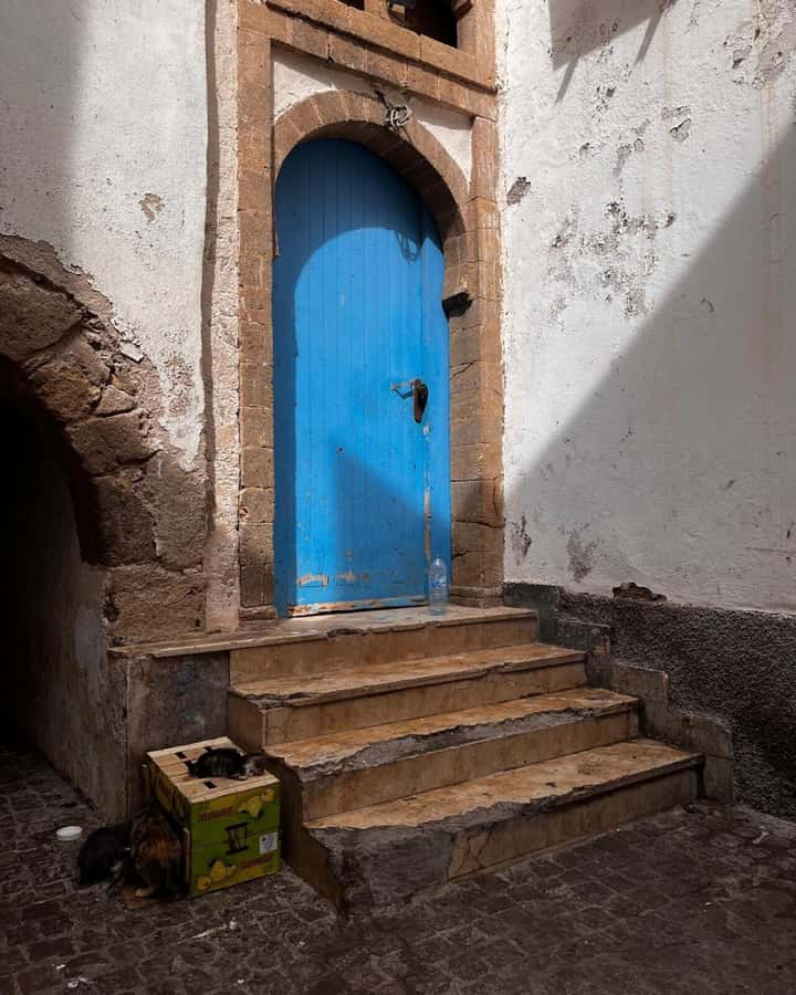 Marrakech: Essaouira Day Trip with Transfers and Co-op Visit - How to spend your 4 hours in Essaouira (a simple, realistic plan)