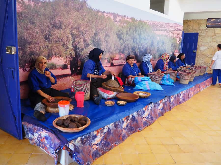 Marrakech: Essaouira Day Trip with Transfers and Co-op Visit - Price and value: what $14 really buys you (and what to budget)