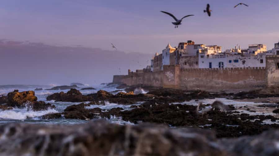 Marrakech: Essaouira Full-Day Trip - Key Points Worth Your Time