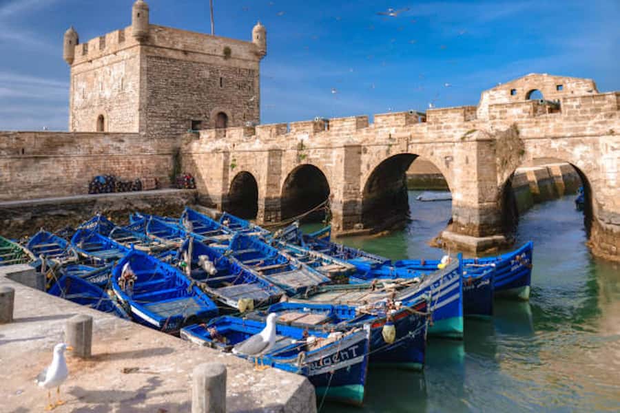 Marrakech: Essaouira Full-Day Trip - Price and Logistics That Actually Matter for a Marrakech to Essaouira Day