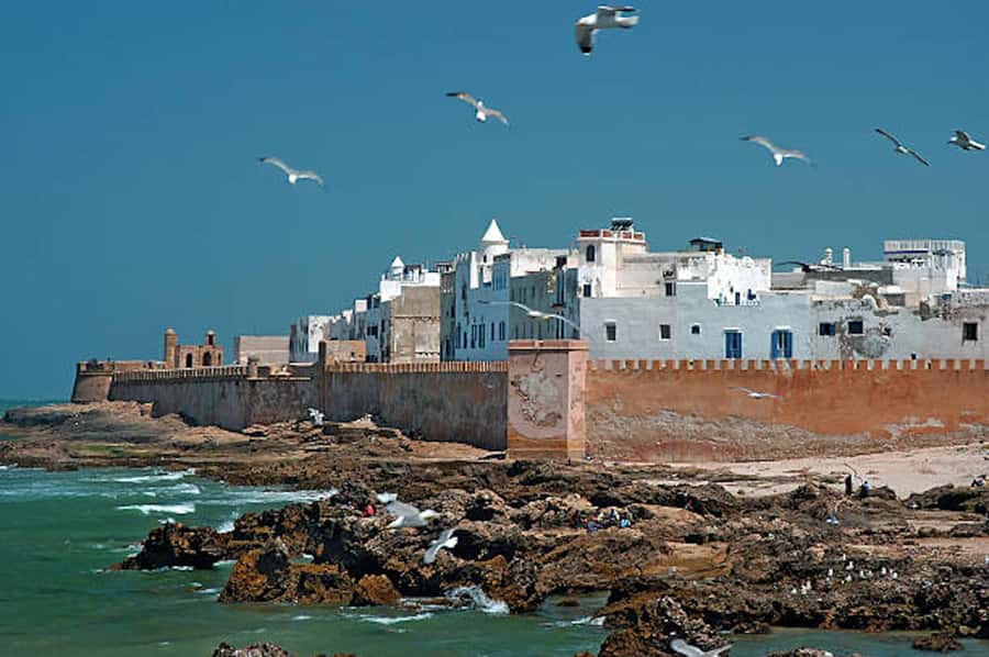 Marrakech: Essaouira Full-Day Trip - Old Medina and Souks, What You Should Actually Do With Your Time