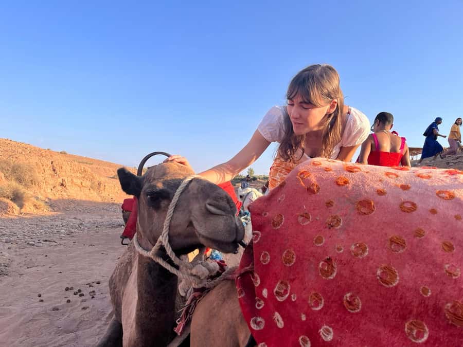 Marrakech: Evening Escape to the Agafay Desert - Key highlights that make this evening worth your time