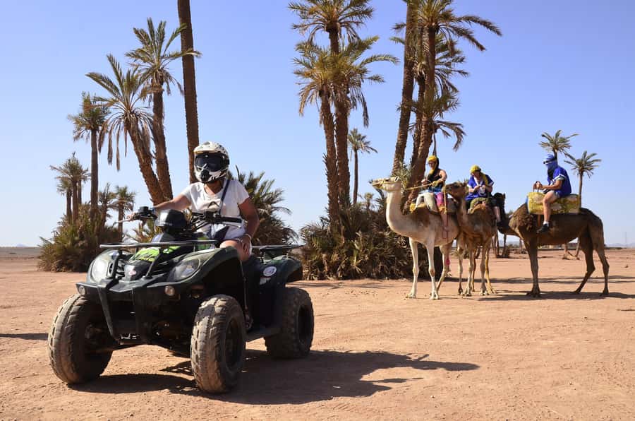 Marrakech:excursion quad in Oasis palm & jbilat desert,tea - Food, pacing, and the “short but complete” feeling