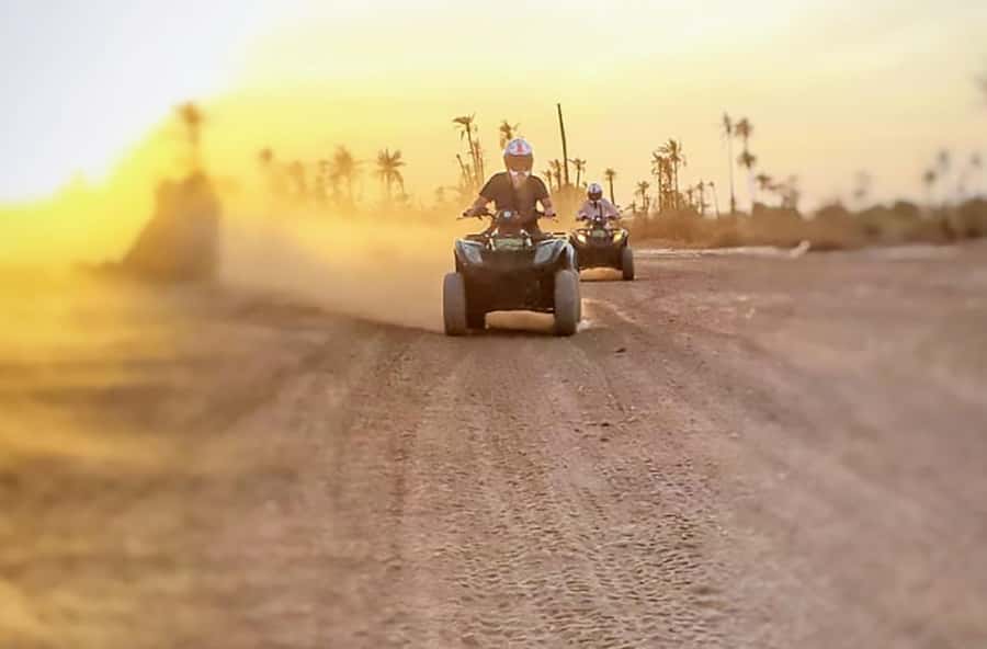 Marrakech, explore the palm grove desert by quad bike - Key things to look forward to