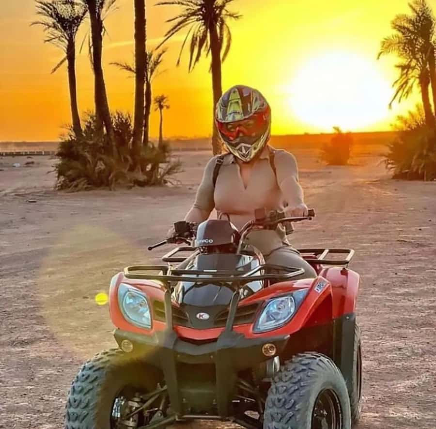 Marrakech, explore the palm grove desert by quad bike - Your route through palm groves, dusty tracks, and an oasis photo moment