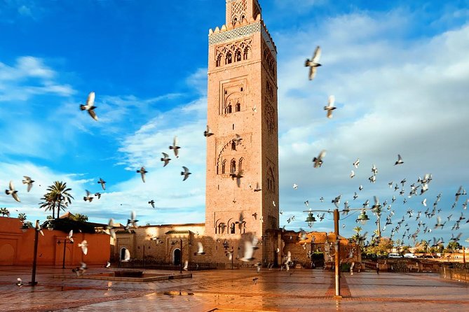 Marrakech Full Day Guided City Tour - Private Tour - Jardin Majorelle and the Berber Museum: Where the Color Turns Quiet