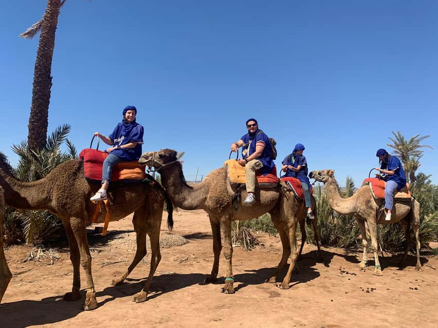 Marrakech: Guided Quad Bike and Camel Ride Tour with Tea - A 3-hour quad and camel reset near Marrakech