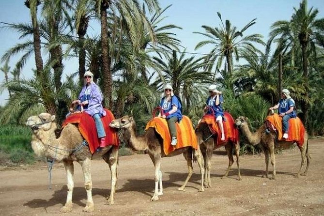 Marrakech Half-Day Camel Ride in Palm Grove - Palm Grove Camel Rides: Desert vibes close to the city