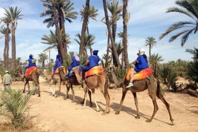 Marrakech Half-Day Camel Ride in Palm Grove