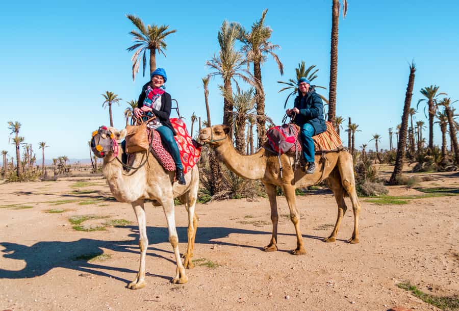 Marrakech: Half-Day Desert Quad Tour with Camel Ride - From Your Hotel to Palms: The Ride That Sets the Tone
