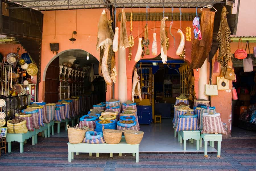 Marrakech: Historical Discovery Tour - The herbalist presentation, spices and plants used in medicine