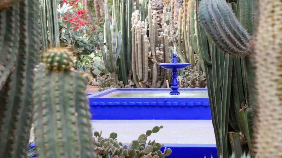 Marrakech: Majorelle Garden Entry Tickets Online - Majorelle Gardens in Marrakech, why the blue buildings win