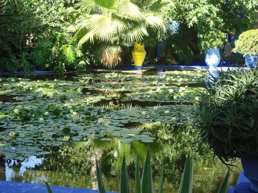 Marrakech: Majorelle Garden Entry Tickets Online - Price and value, is $46 for a ticket actually worth it?