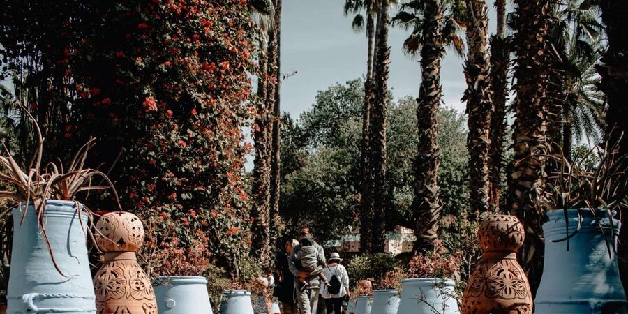 Marrakech: Majorelle Garden, YSL, and Berber Museum Entry - Price and value: When $58 feels fair and when it does not