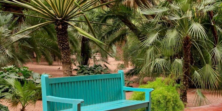 Marrakech: Majorelle Garden, YSL, and Berber Museum Entry - Should you book this Marrakech combo ticket?