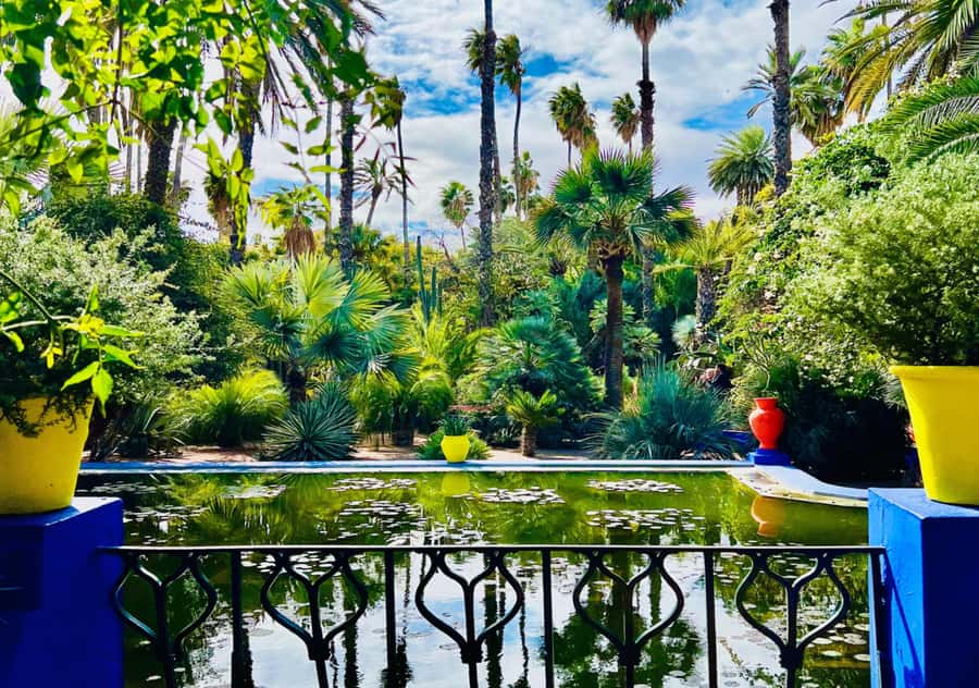 Marrakech: Majorelle & Menara Garden Tour and Carriage Ride - Key Things You’ll Notice Right Away