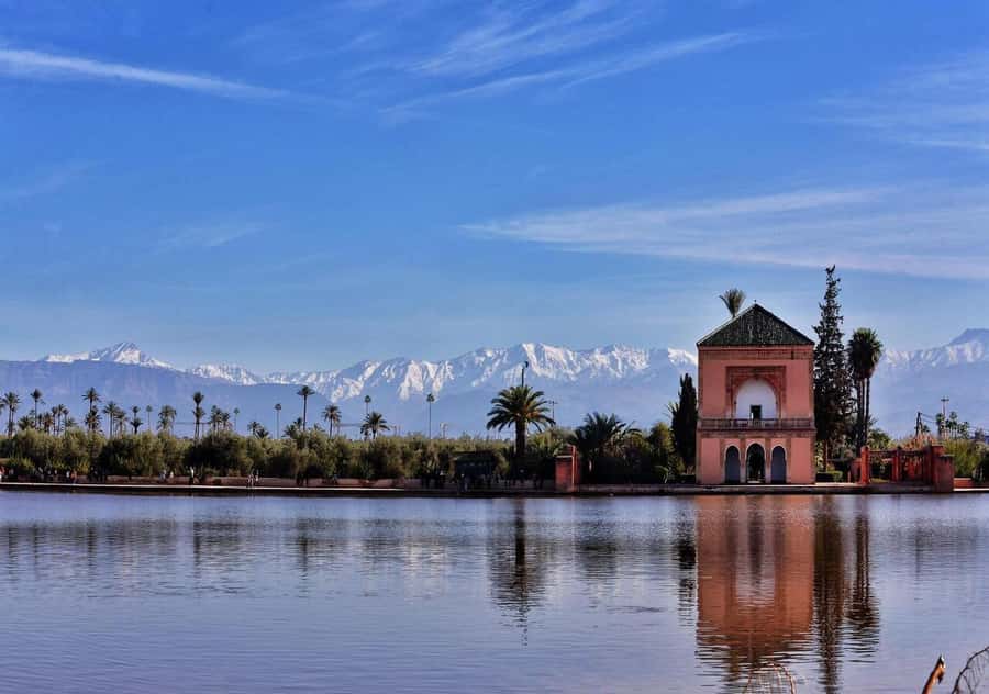 Marrakech: Majorelle & Menara Garden Tour and Carriage Ride - What to Look For: YSL’s Connection and the Cubist Villa Story