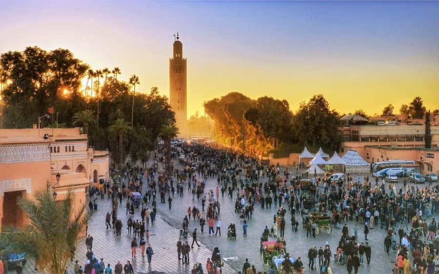 Marrakech Monuments & Souks 3-Hour Tour - Who This Tour Suits Best in Marrakech