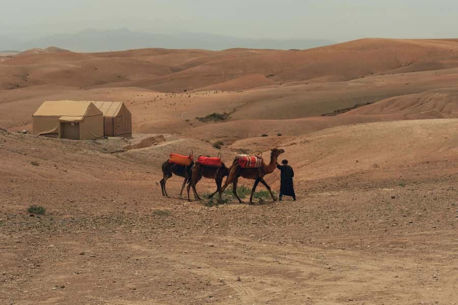Marrakech/Ouarzazate: 2-Day Desert with Camel, 4x4 & Meals - Key things to know before you go