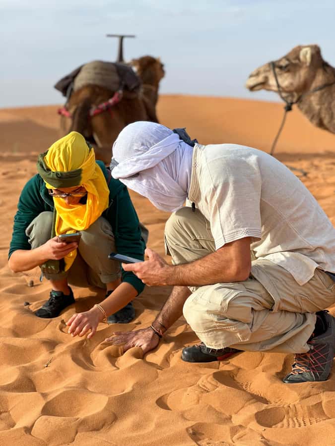 Marrakech/Ouarzazate: 2-Day Desert with Camel, 4x4 & Meals - Marrakech or Ouarzazate Pickup: The Long Drive, Broken Into Good Moments