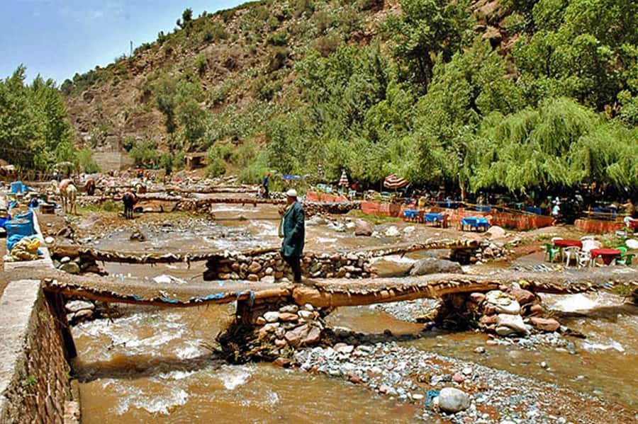 Marrakech: Ourika Valley and Atlas Mountains Day Trip - Who should book this Ourika Valley and Setti Fatma trip