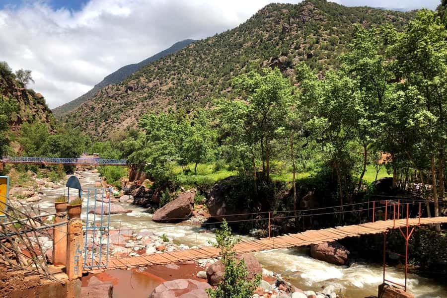 Marrakech: Ourika Valley and Atlas Mountains Day Trip - Price and value: why around $7 can make sense, with one important caveat
