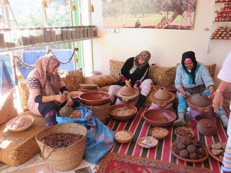 Marrakech: Ourika Valley & Atlas Mountains Half-Day Trip - Who this half-day trip is best for