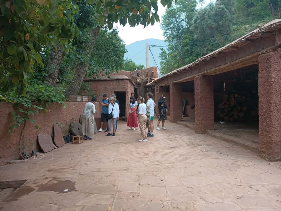 Marrakech Ourika Valley, Atlas Mountains, Waterfall + Lunch - Atlas Mountains Time: Guided Moments, Photo Stops, and Scenic Stops That Add Up