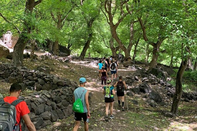 Marrakech: Ourika Valley, Atlas Mountains, Waterfalls & Lunch - Setti Fatma and the 7 Cascades Hike: Beautiful, But Plan for Real Footwork