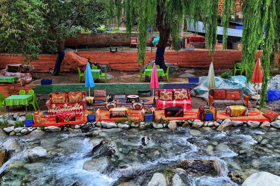 Marrakech: ourika valley Atlas Mountains & Waterfalls Trip - Women-run argan cooperative: what you are seeing and what to watch for