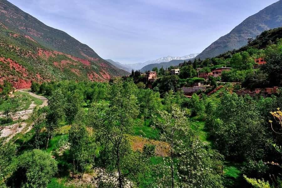 Marrakech: ourika valley lunch & guided hike to waterfalls - Ourika River lunch: the meal is part of the trip, not an afterthought