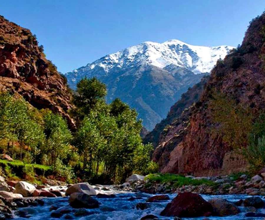 Marrakech: Ourika Valley,Waterfalls, Atlas Luxury Day trip - Practical tips so your day runs smoothly