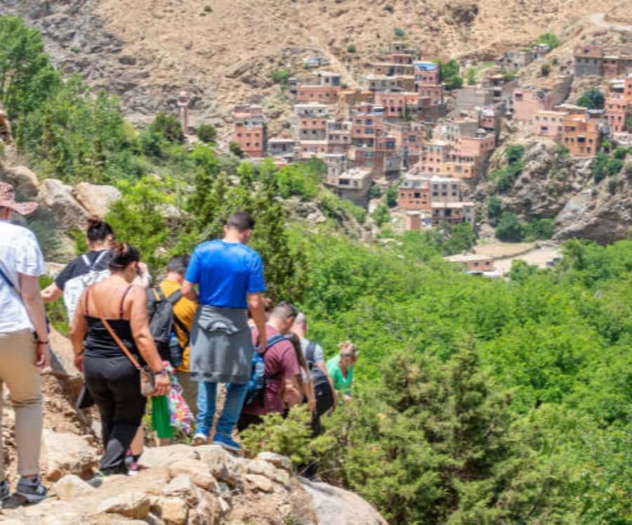 Marrakech: Ourika Valley,Waterfalls, Atlas Luxury Day trip - Argan oil cooperative visit: learn, then you decide