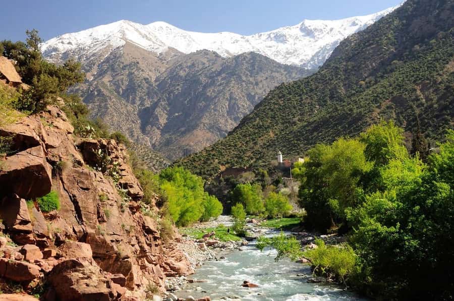 Marrakech: Ourika Valley Waterfalls & Atlas Mountains Trip - The Small Details That Make or Break the Day