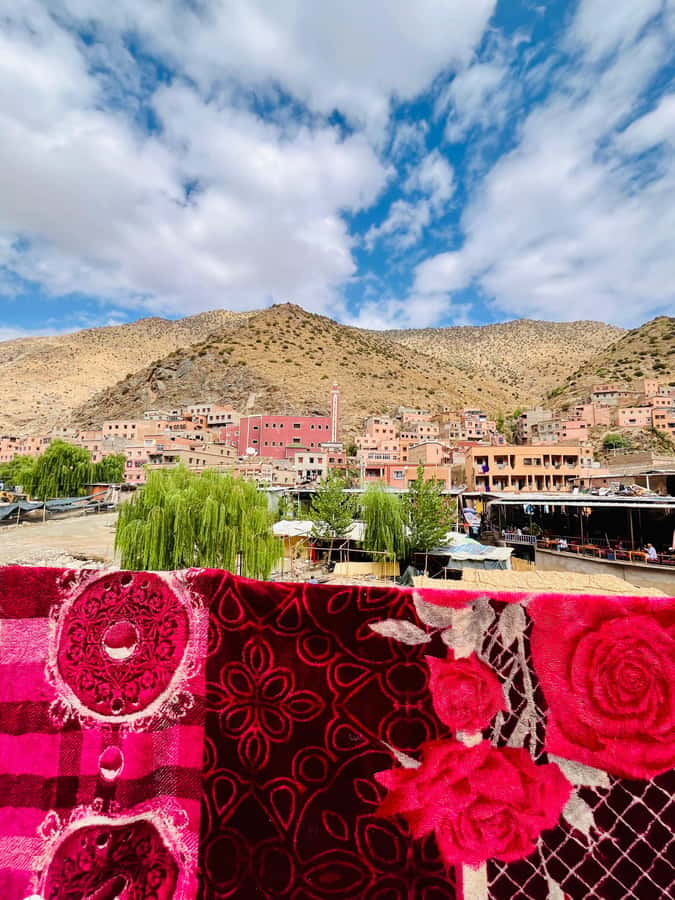Marrakech: Ourika Valley Waterfalls & guided hike - Practical tips that will save you stress